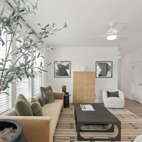 a living room with a tree